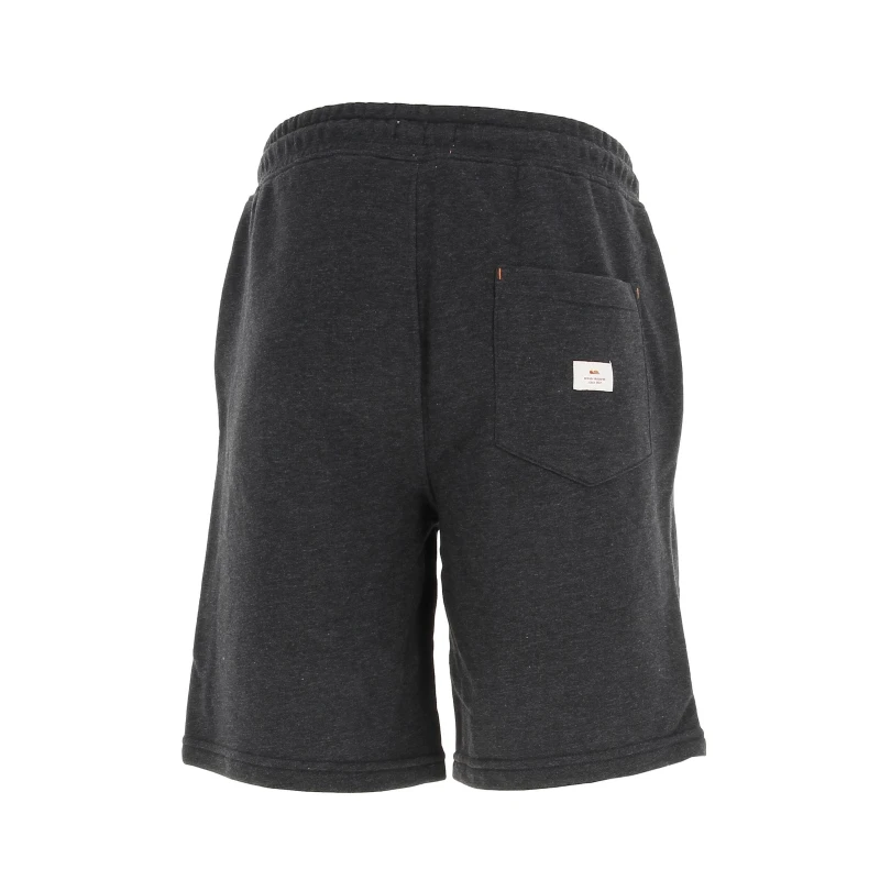 Short Sport Local Surf Gris Homme - Quiksilver 4 Short Sport Local Surf Gris Homme - Quiksilver – Image 2