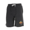 Short Sport Local Surf Gris Homme - Quiksilver 2 Short Sport Local Surf Gris Homme - Quiksilver -TEDDY Vetements Magasin short sport local surf gris homme quiksilver