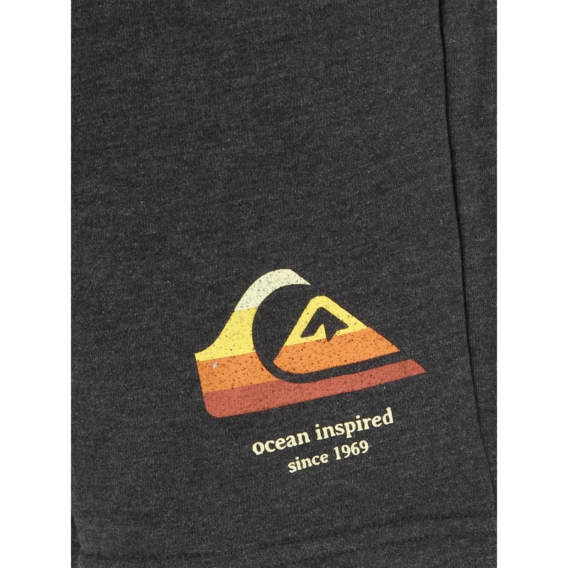 Short Sport Local Surf Gris Homme - Quiksilver 5 Short Sport Local Surf Gris Homme - Quiksilver – Image 3