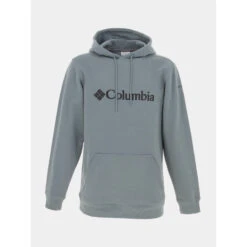 Sweat à Capuche Basic Logo Gris Vert Homme - Columbia