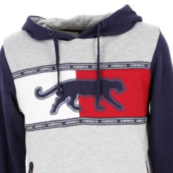 Sweat à Capuche Cayler Gris Homme - Airness -TEDDY Vetements Magasin sweat a capuche cayler gris homme airness 2