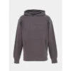 Sweat à Capuche Logo Brodé Gris Homme - Oxbow -TEDDY Vetements Magasin sweat a capuche logo brode gris homme oxbow