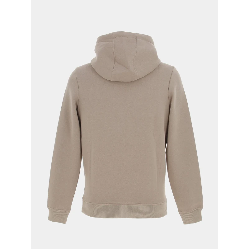 SUN VALLEY Sweat à Capuche Logo Central Brodé Marron Homme - Sunvalley 4 SUN VALLEY Sweat à Capuche Logo Central Brodé Marron Homme - Sunvalley – Image 2