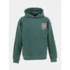 Sweat à Capuche Prerro Logo Dos Vert Homme - Ellesse -TEDDY Vetements Magasin sweat a capuche prerro logo dos vert homme ellesse
